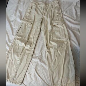 Aritzia cargo supply pant
